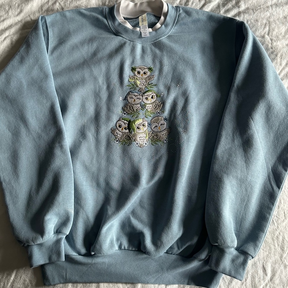 Morning sun vintage embroidered Blue Owl Sweatshirt